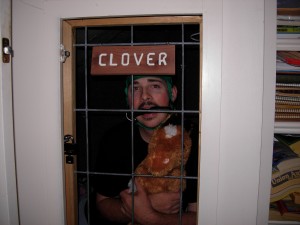 Clover01