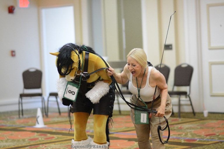 EquusIPPESaturdayDay2016 20160813 194 Equus International Pony Play